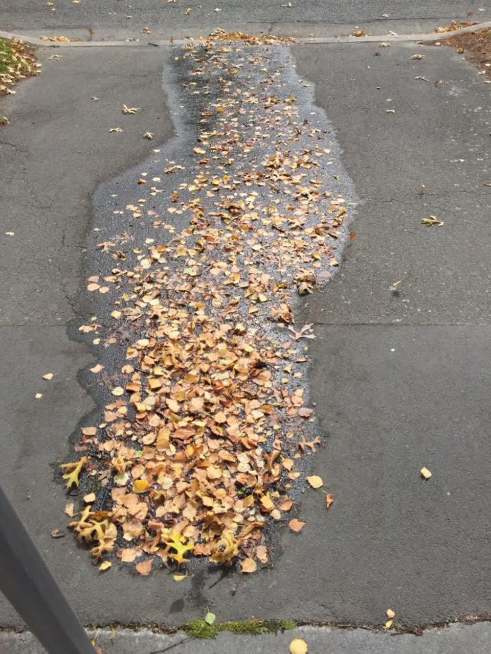The photograph attached to this wastewater/stormwater report