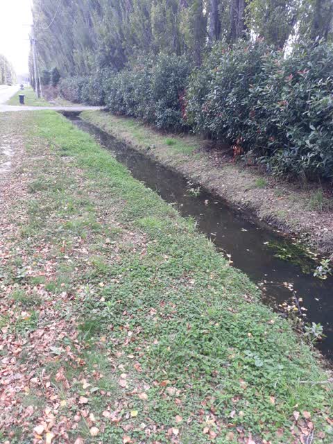 Wastewater/Stormwater, a report photo
