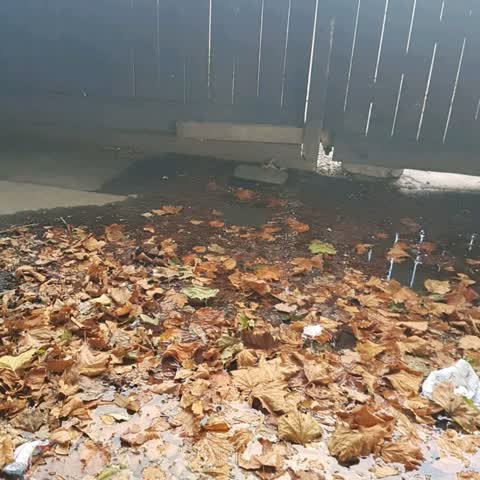 Water Supply, a report photo