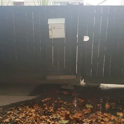 Water Supply, a report photo