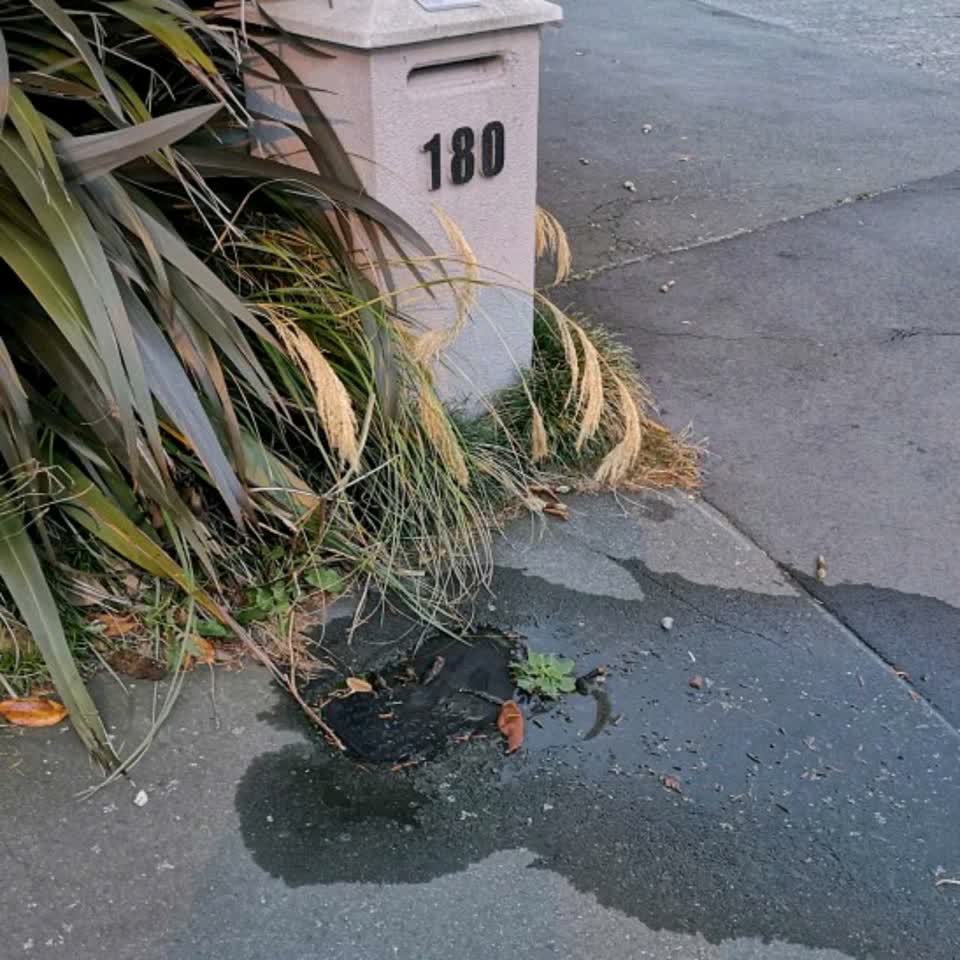 The photograph attached to this water supply report