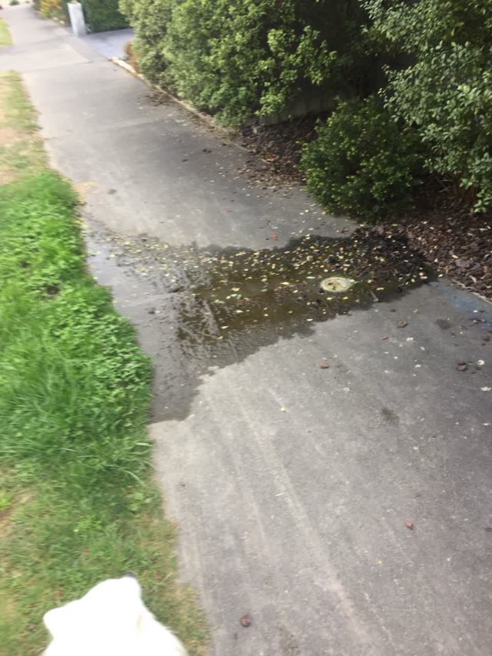 The photograph attached to this water supply report