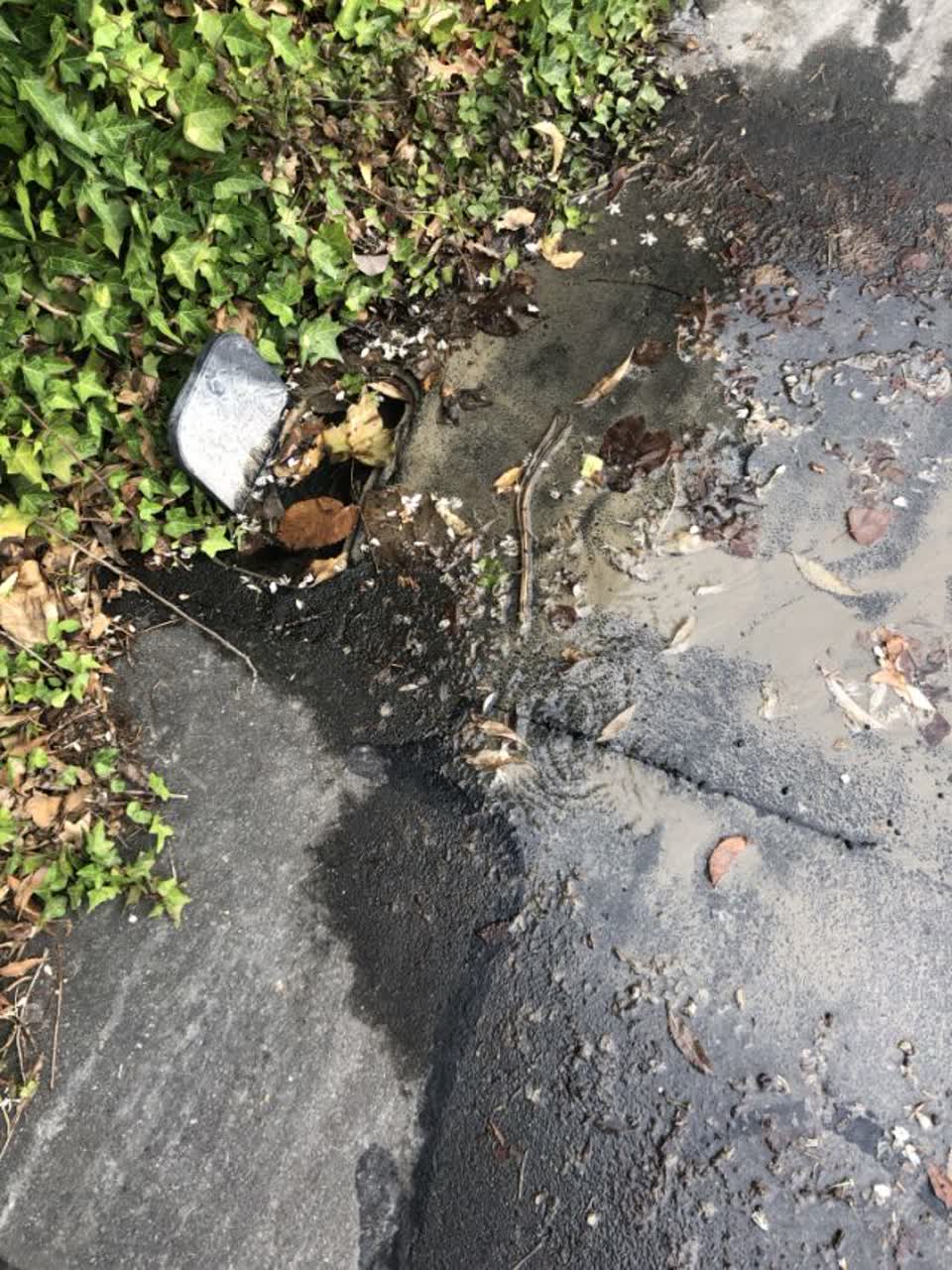 The photograph attached to this water supply report