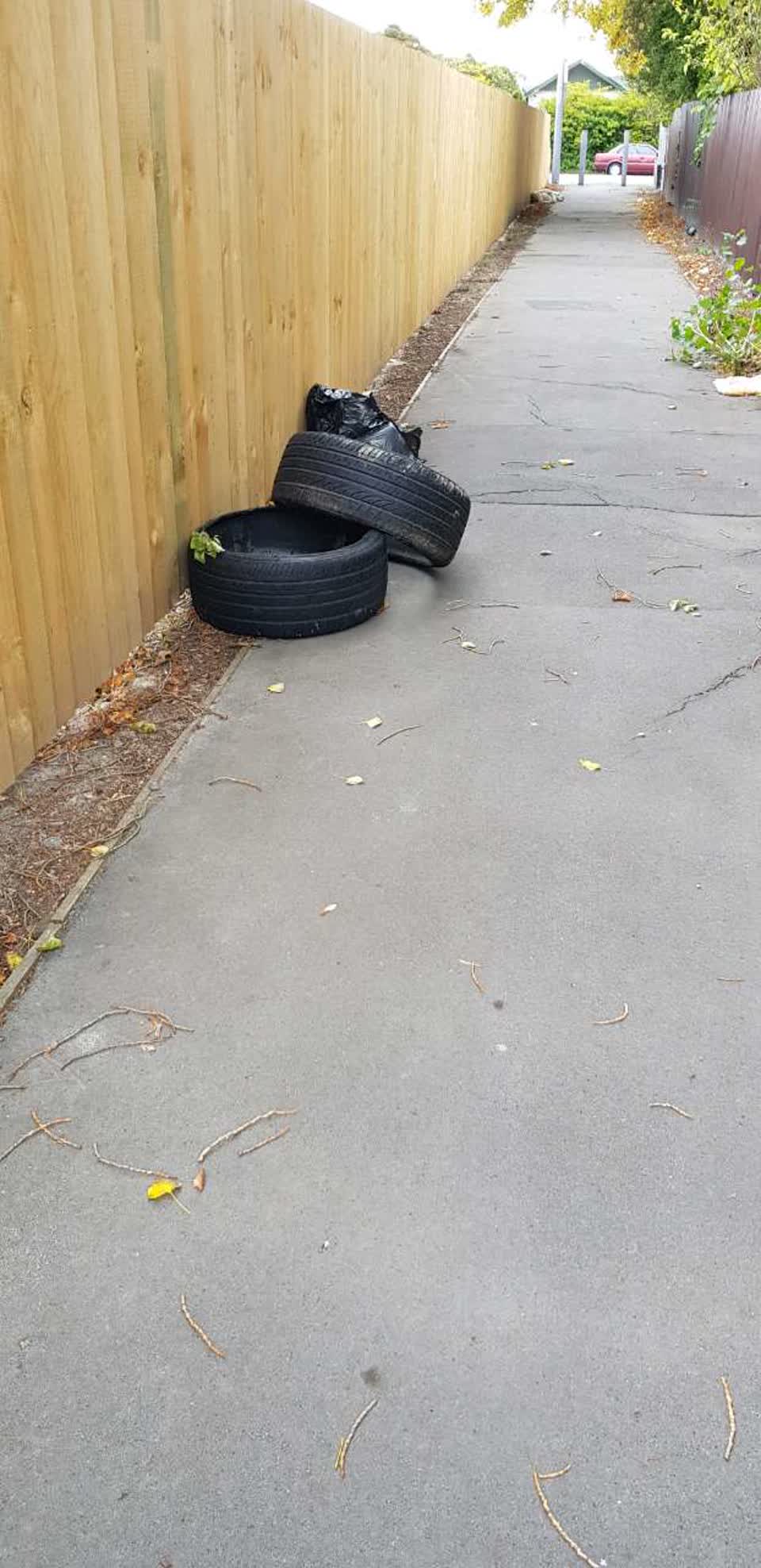 The photograph attached to this rubbish/recycling report