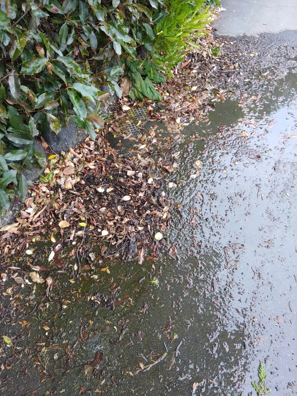 The photograph attached to this water supply report