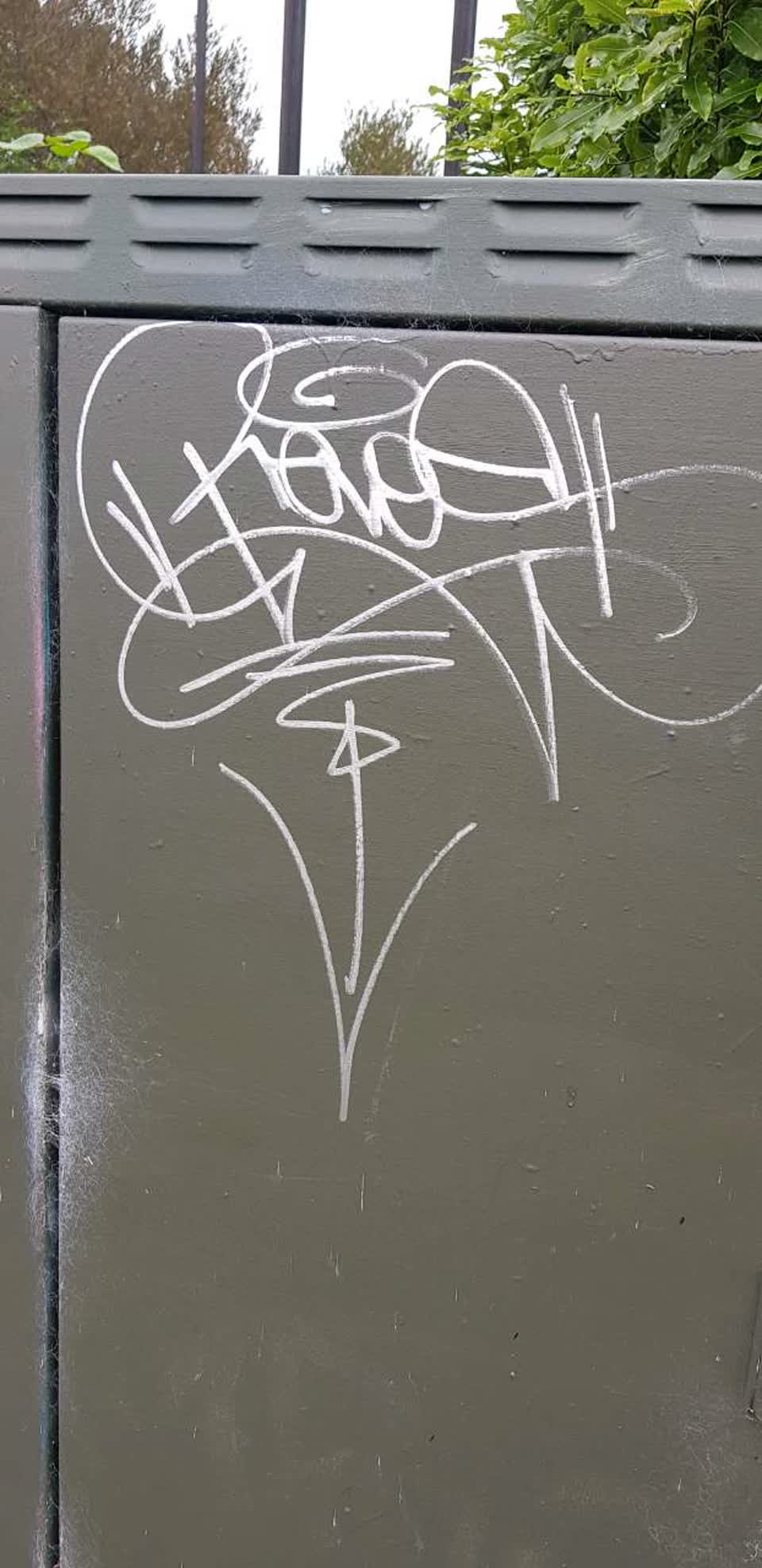 The photograph attached to this graffiti report