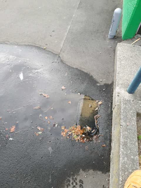 Water Supply, a report photo