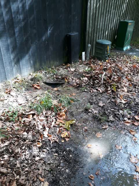 Wastewater/Stormwater, a report photo