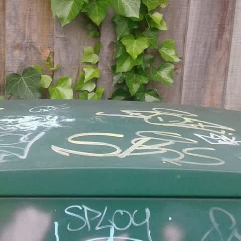Graffiti, a report photo