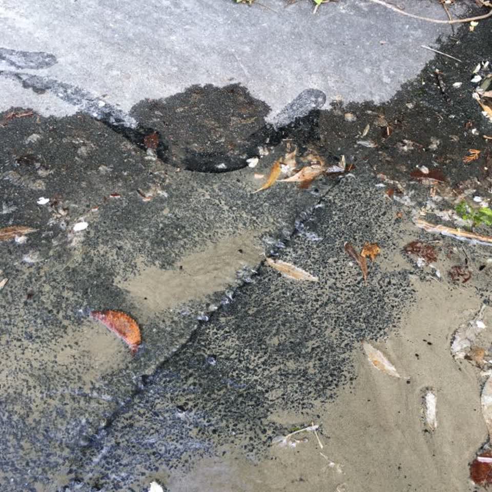 The photograph attached to this flooding report