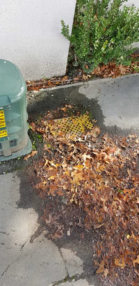 Wastewater/Stormwater, a report photo