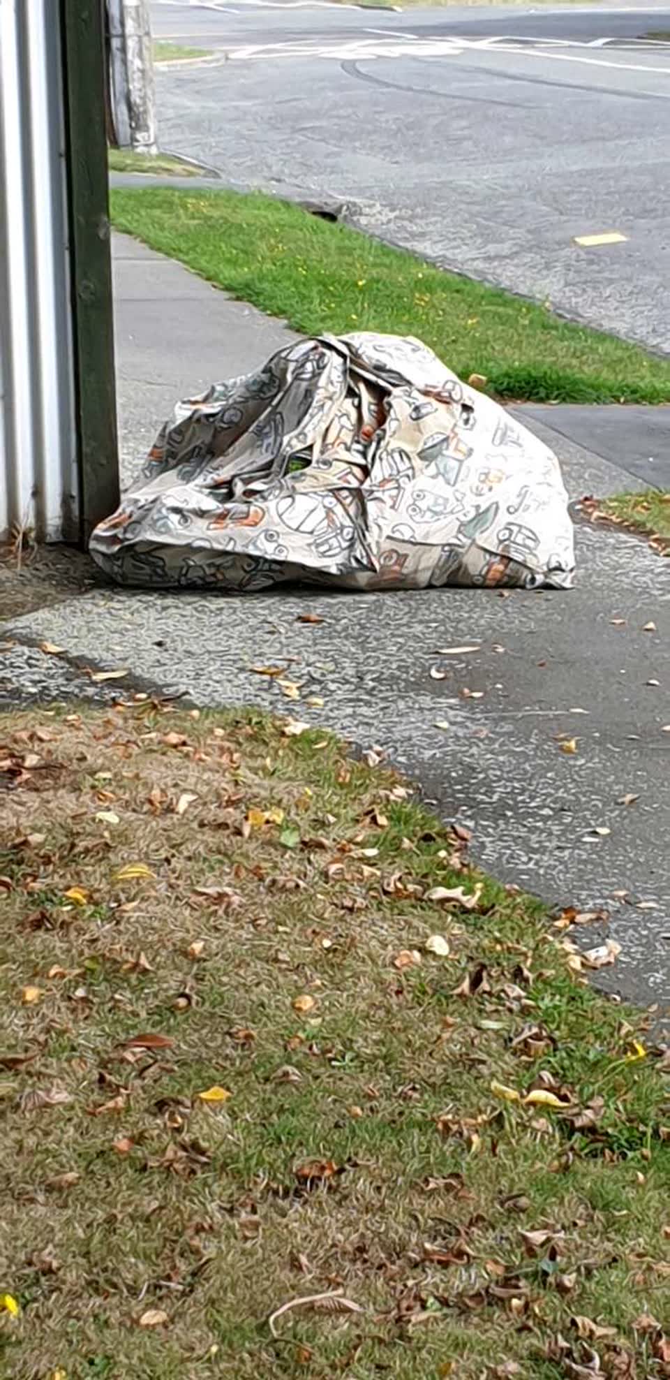 The photograph attached to this rubbish/recycling report