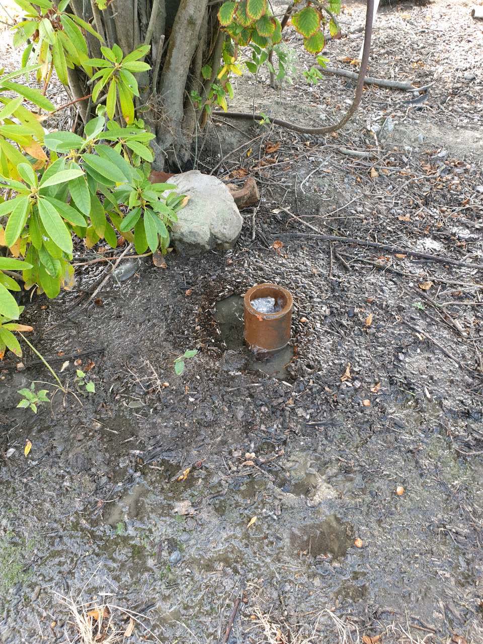 The photograph attached to this water supply report