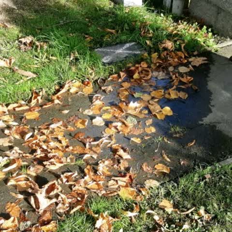 Water Supply, a report photo