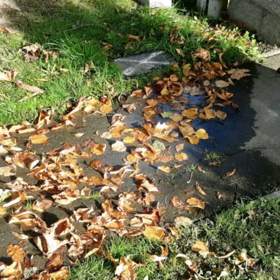 The photograph attached to this water supply report