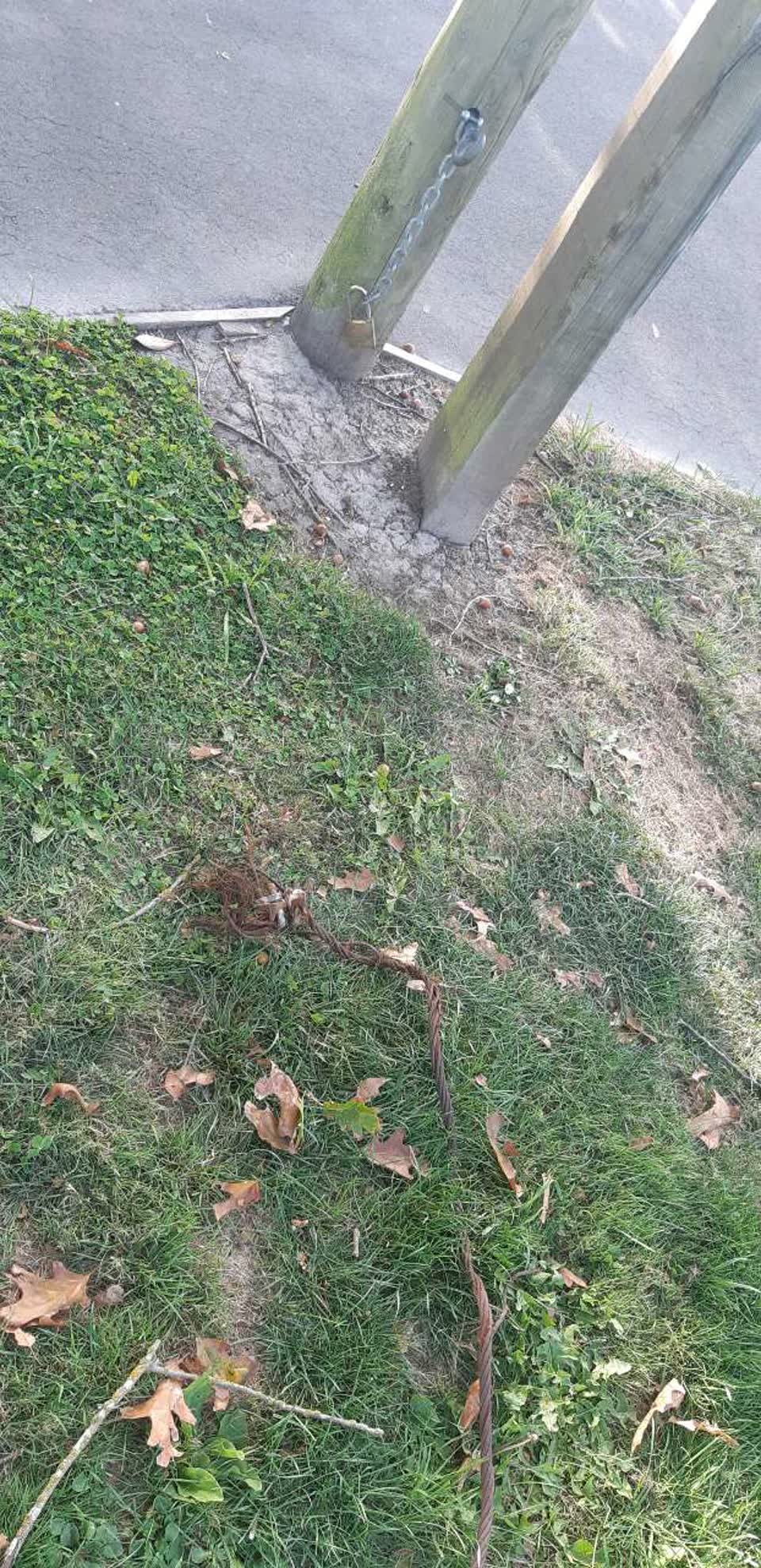 The photograph attached to this parks report