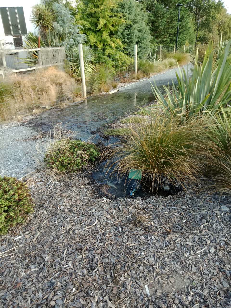 The photograph attached to this water supply report