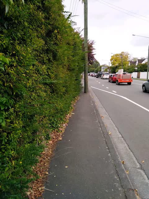 Roading/Streets, a report photo