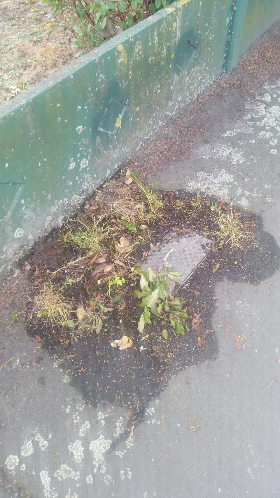 The photograph attached to this water supply report