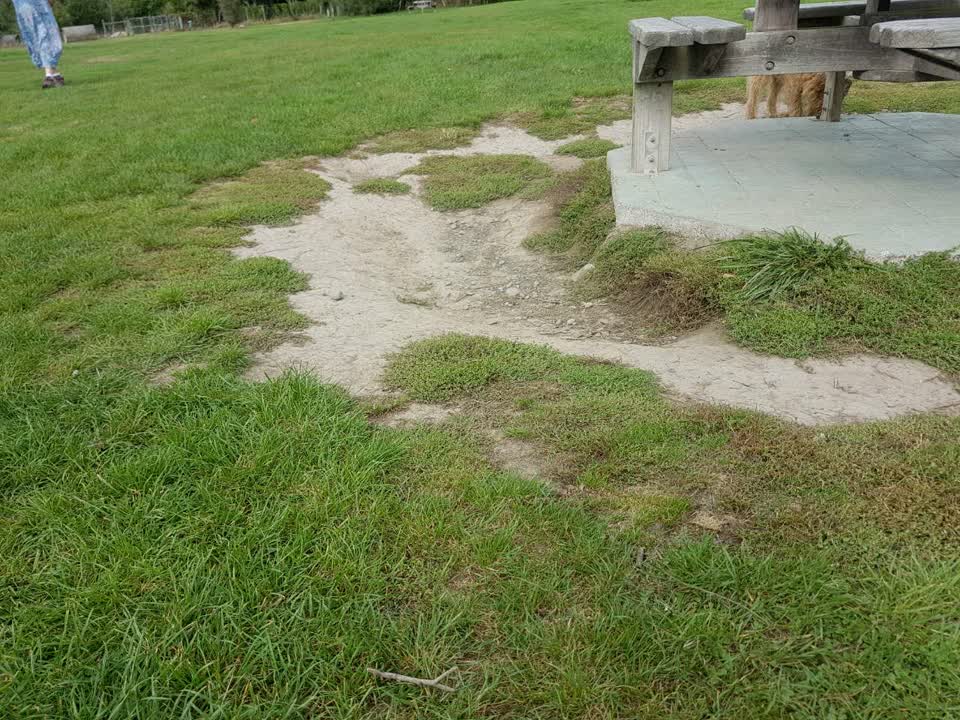 The photograph attached to this parks report