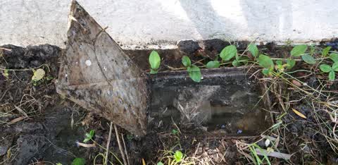 Water Supply, a report photo