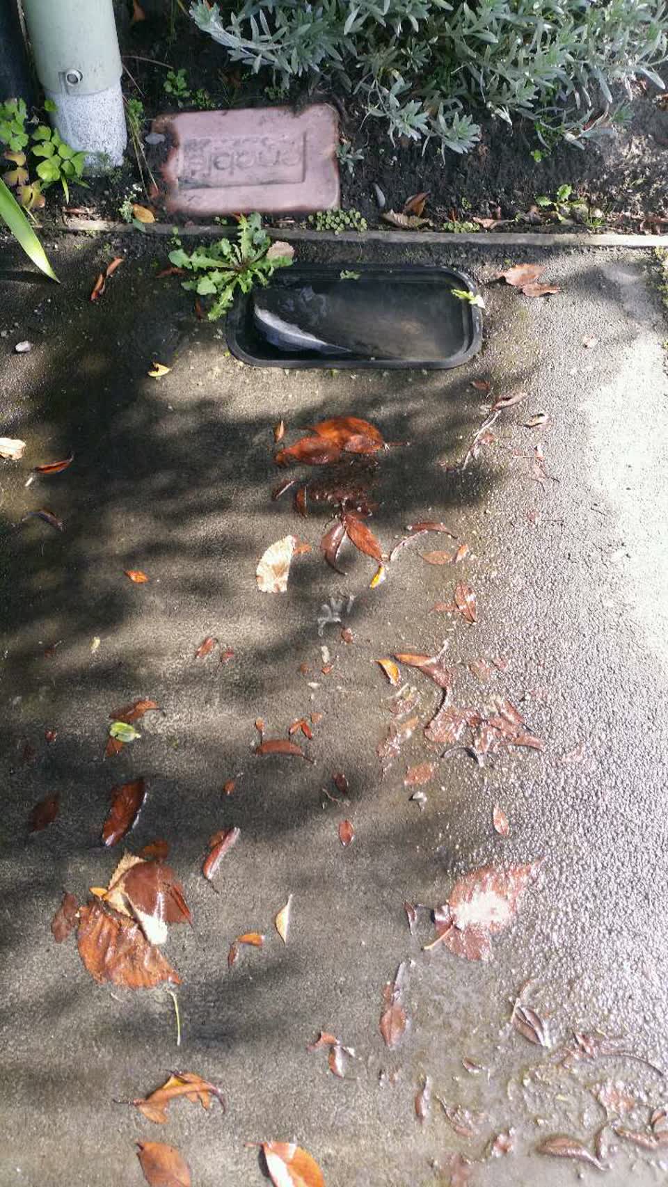 The photograph attached to this water supply report