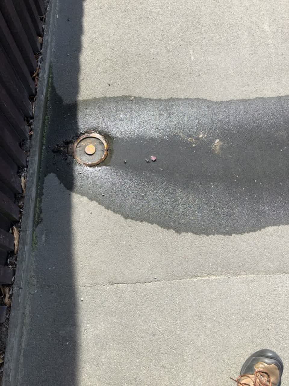 The photograph attached to this water supply report