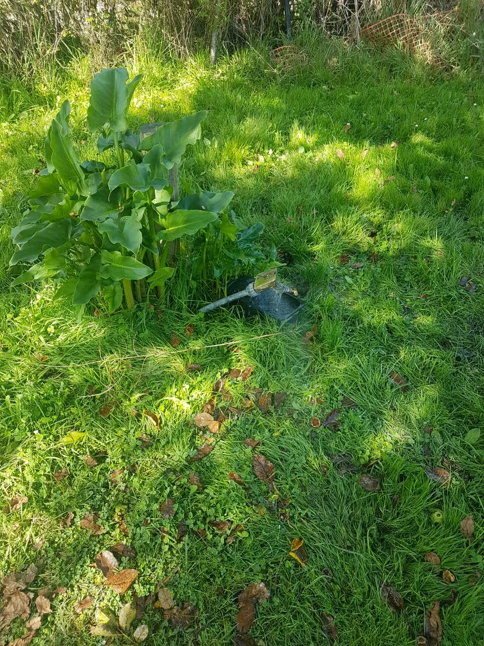 The photograph attached to this water supply report