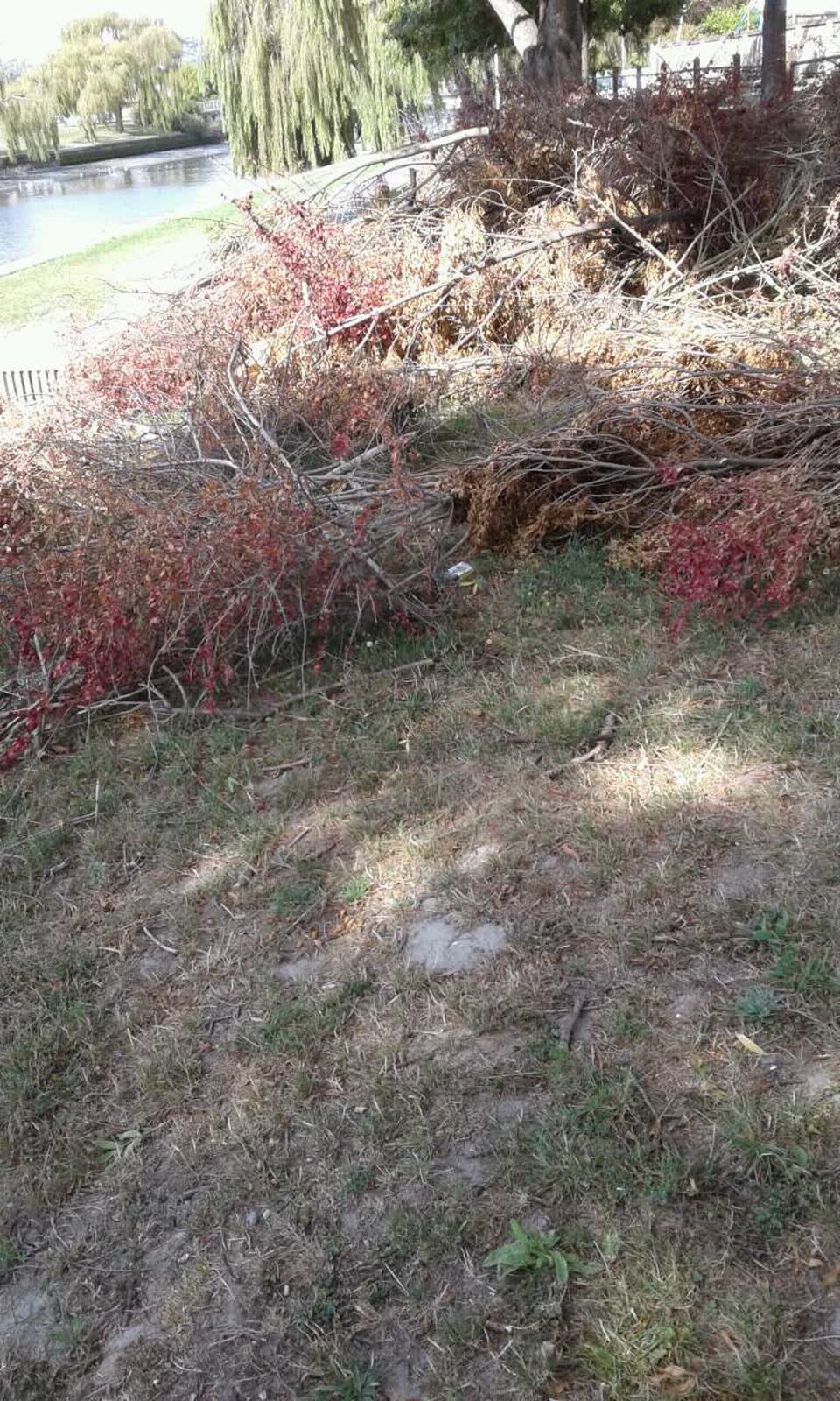 The photograph attached to this parks report
