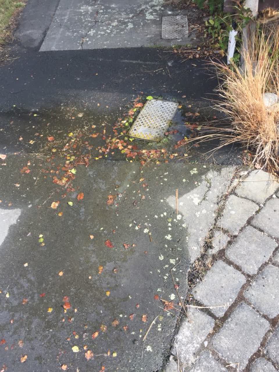 The photograph attached to this water supply report