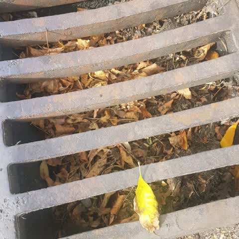 Roading/Streets, a report photo