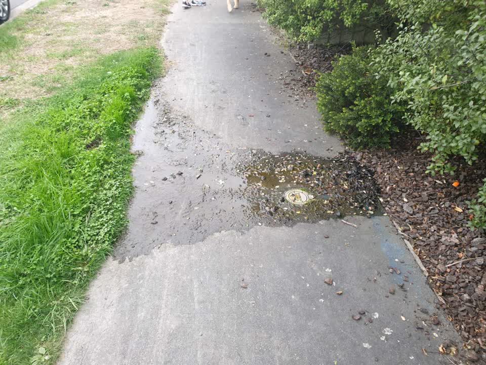 The photograph attached to this water supply report