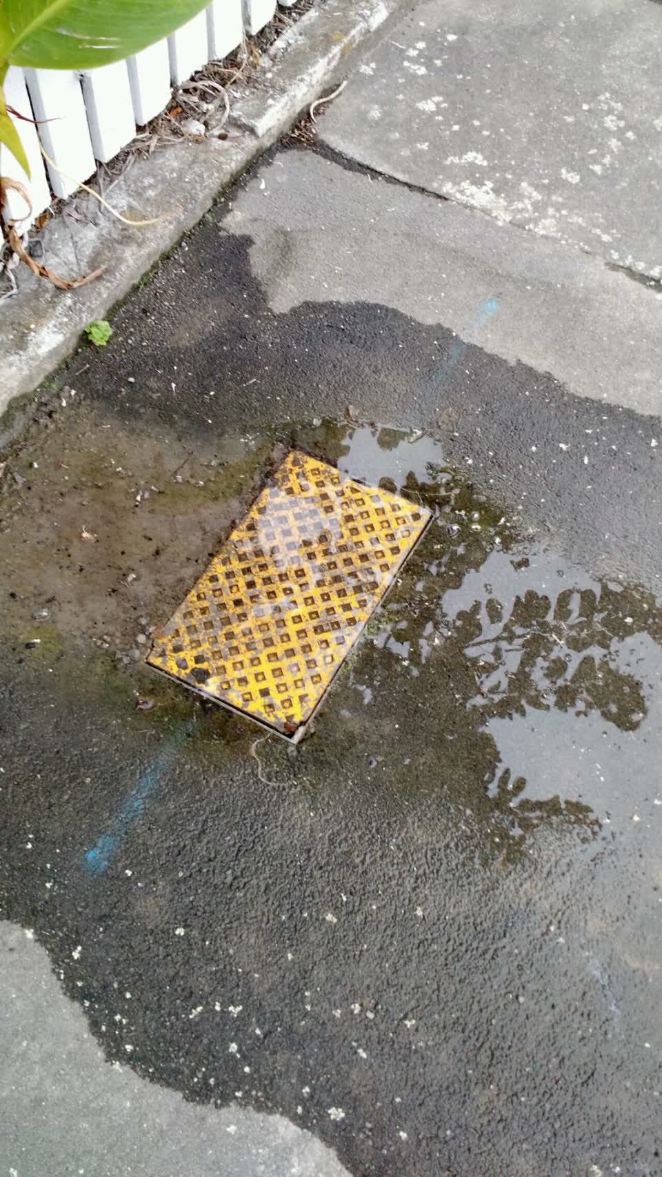 The photograph attached to this water supply report