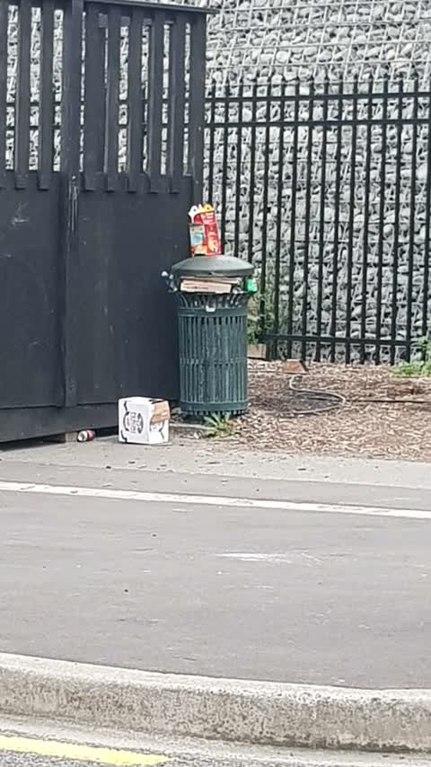 Rubbish/Recycling, a report photo