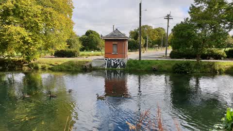 Graffiti — a report photo