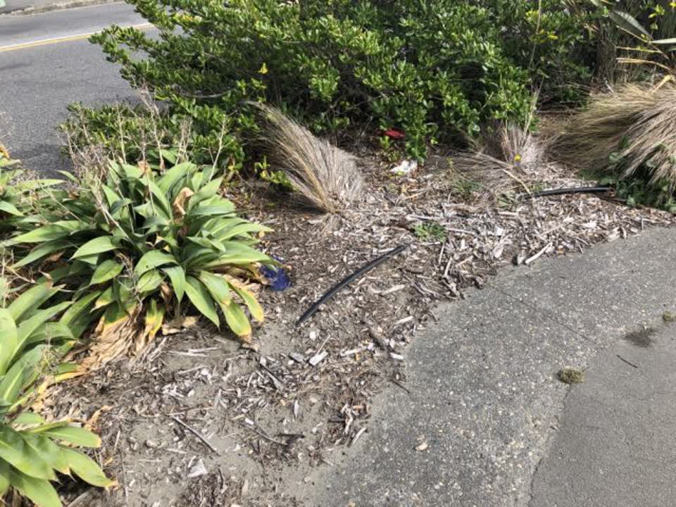 The photograph attached to this parks report
