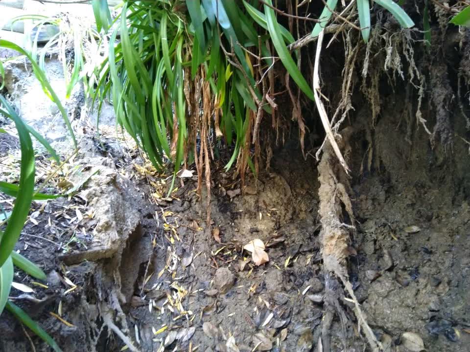 The photograph attached to this flooding report