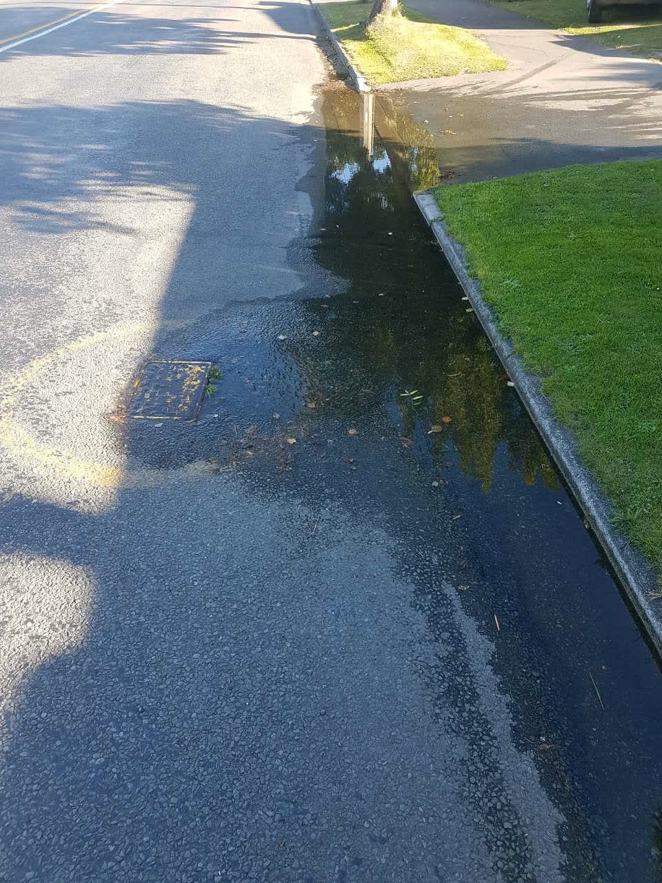The photograph attached to this water supply report