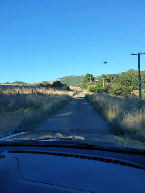 Roading/Streets, a report photo