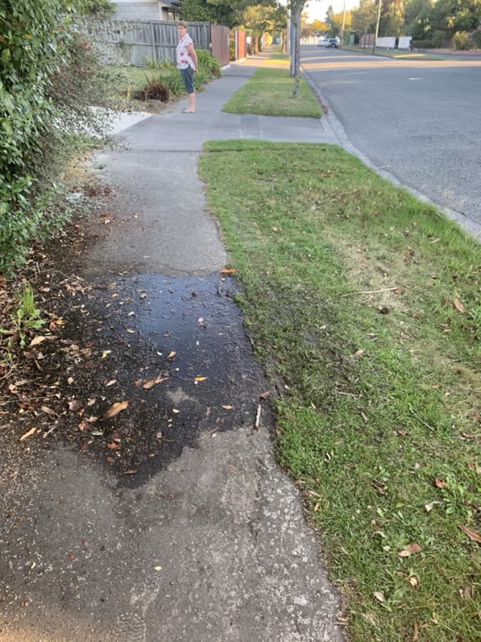 The photograph attached to this wastewater/stormwater report