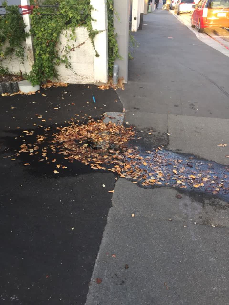 The photograph attached to this water supply report