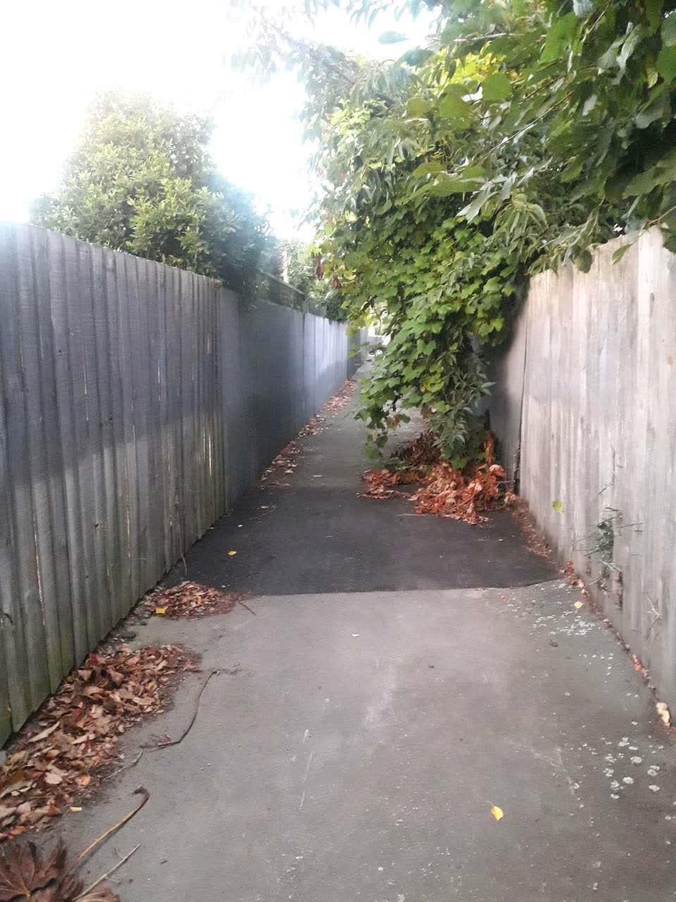 The photograph attached to this parks report