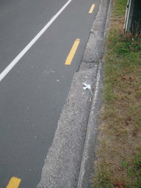 Roading/Streets, a report photo