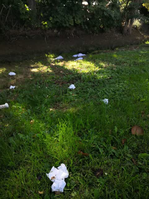 Rubbish/Recycling, a report photo