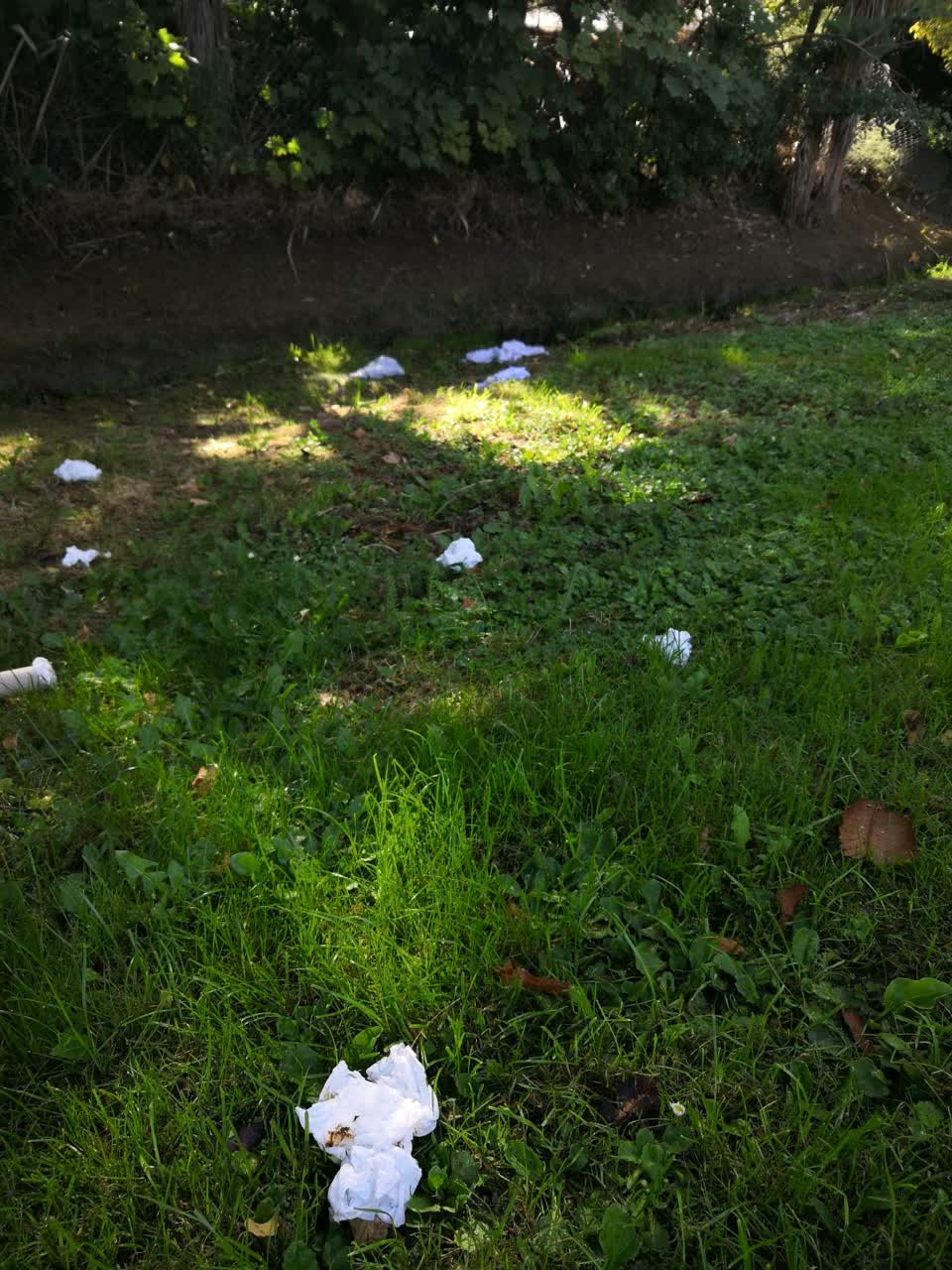 The photograph attached to this rubbish/recycling report