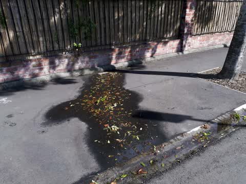Water Supply, a report photo