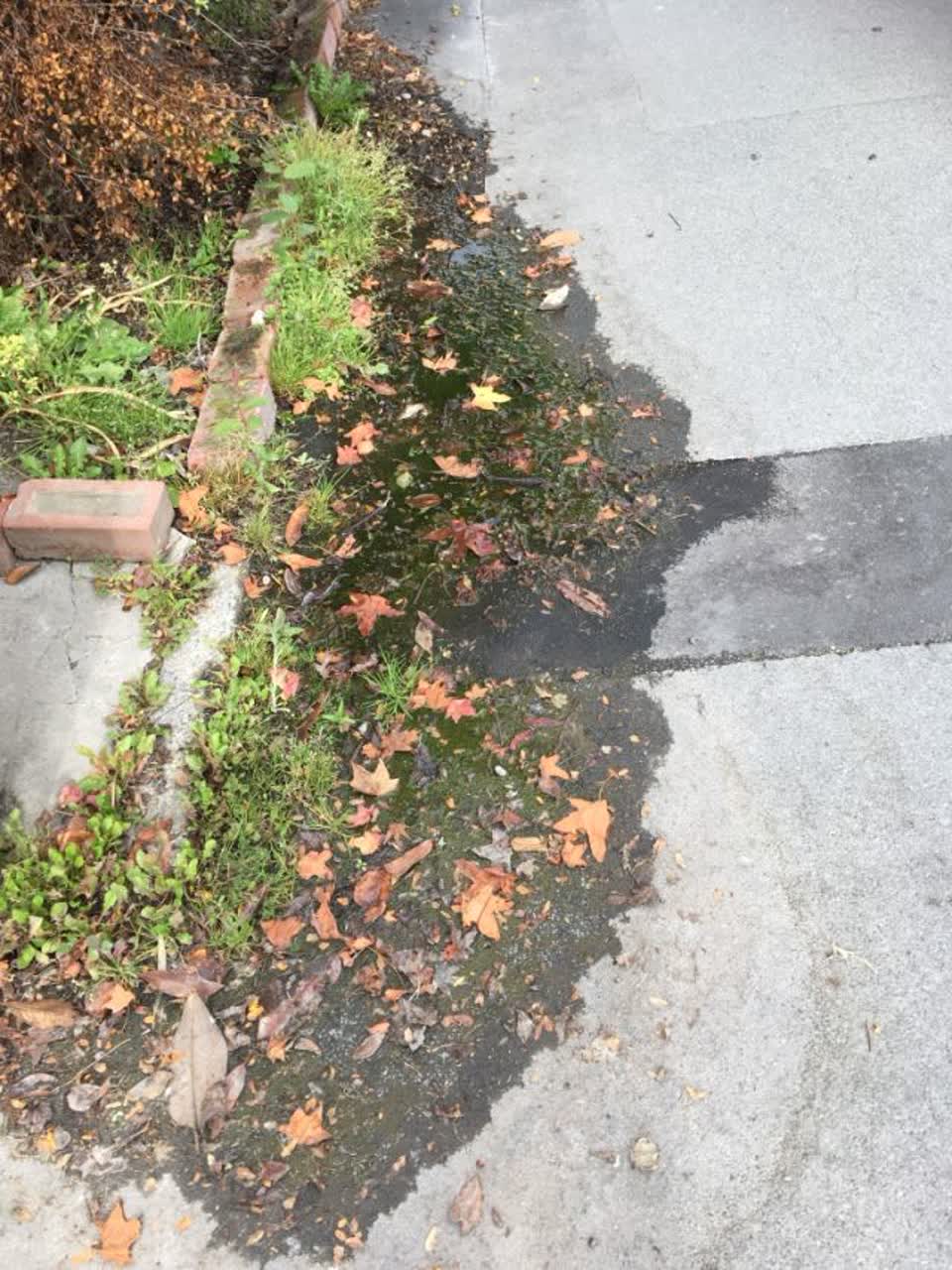 The photograph attached to this wastewater/stormwater report