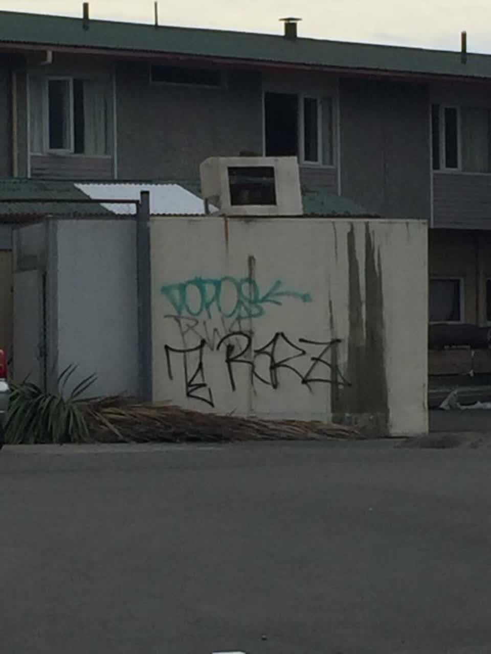 The photograph attached to this graffiti report