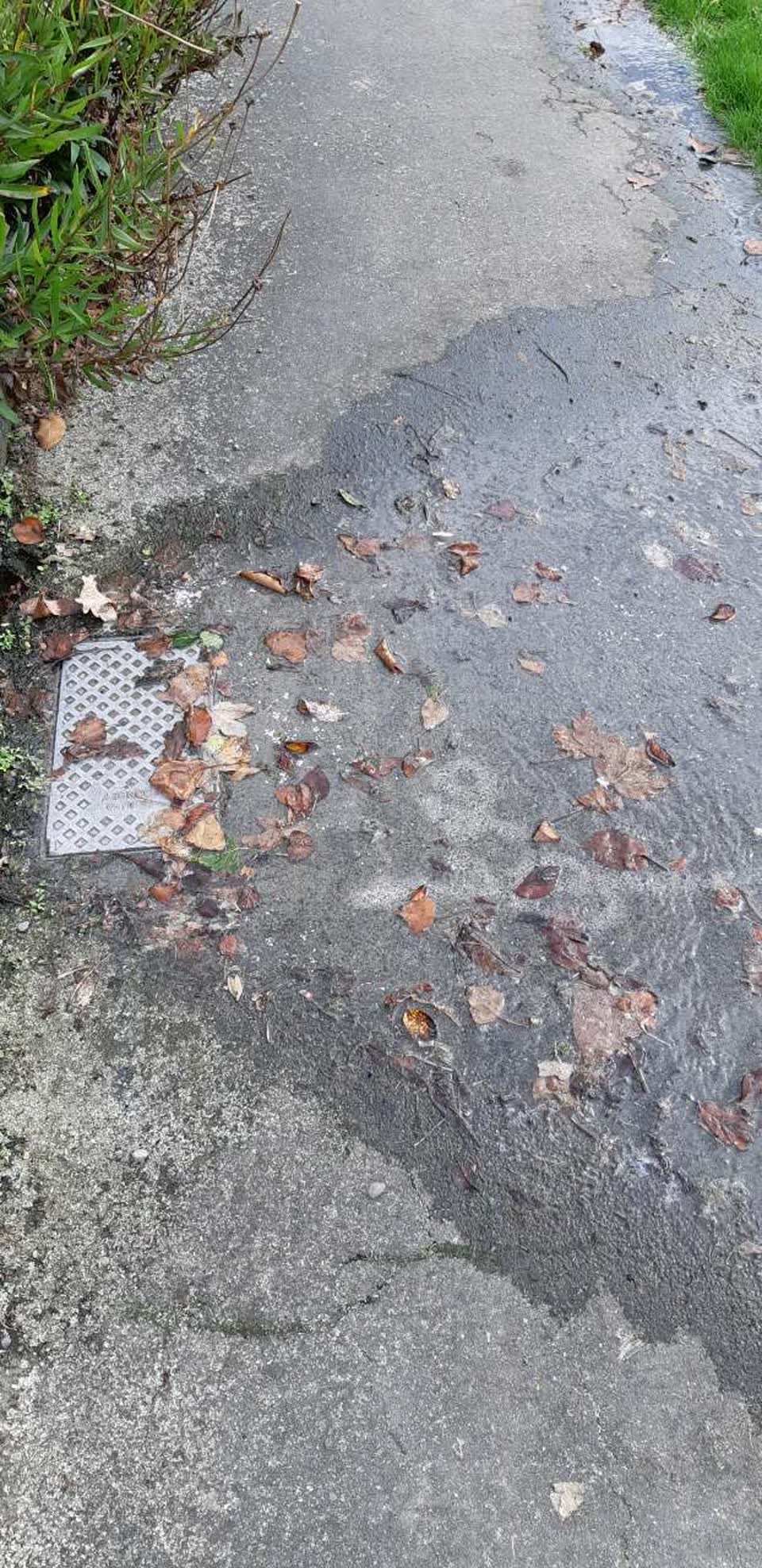 The photograph attached to this water supply report