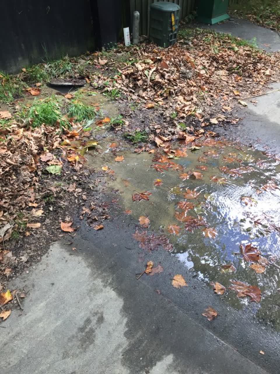 The photograph attached to this water supply report